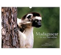 Madagascar L'île aux merveilles (Calendrier mural 2026 DIN A3 vertical), CALVENDO calendrier mensuel: Scènes de vie malgache