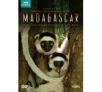 Madagascar: The Land Where Evolution Ran Wild