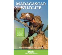 Madagascar Wildlife