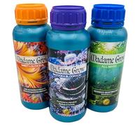 Madame Grow - Concime Universale per Tutti i Tipi di Piante - Rafforza e Accelerà la Crescita - Soluzione da3 x 500ml