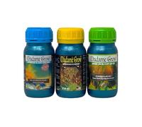 MADAME GROW - Fertilizzanti - Per piante 420 - Crescita, fioritura e suolo microbico e fertile - KINGSTONE KIT - (3x250ml)