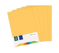 MADE IN EU 20 fogli di carta colorata MIELE (GIALLO ORO) A4 80 g/m² CS Paper - carta per stampanti, carta per fotocopie, carta universale per la stampa, il crafting e la piegatura in formato A4