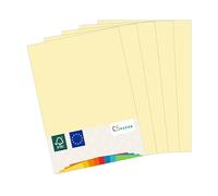 MADE IN EU 50 fogli di carta colorata CHAMPAGNE A4 80 g/m² CS Paper - carta per stampanti, carta per fotocopie, carta universale per la stampa, il crafting e la piegatura in formato A4