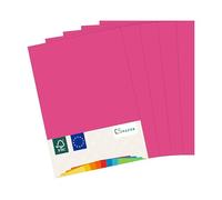 MADE IN EU 50 fogli di carta colorata FENICOTTERO (ROSA) A4 80 g/m² CS Paper - carta per stampanti, carta per fotocopie, carta universale per la stampa, il crafting e la piegatura in formato A4