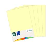 MADE IN EU 50 fogli di carta colorata GIALLO CHIARO A4 80 g/m² CS Paper - carta per stampanti, carta per fotocopie, carta universale per la stampa, il crafting e la piegatura in formato A4