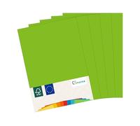 MADE IN EU 50 fogli di carta colorata VERDE (VERDE MAGGIO) A4 80 g/m² CS Paper - carta per stampanti, carta per fotocopie, carta universale per la stampa, il crafting e la piegatura in formato A4