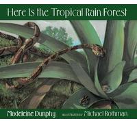 Madeleine Dunphy Here Is the Tropical Rain Forest (Copertina rigida) Web of Life