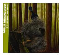 Madlib Medicine Show No. 11: Low Budget High-Fi Music (CD)