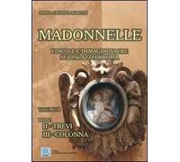 Madonnelle. Edicole e immagini sacre sui palazzi di Roma. Ediz. illustrata. Vol. 2