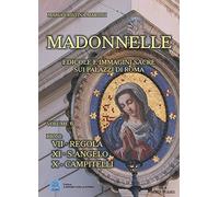 Madonnelle. Edicole e immagini sacre sui palazzi di Roma. Ediz. illustrata. Vol. 6