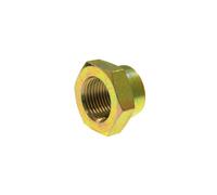 Madre M24X2,0 NPZ-CH-011 M24X2,0