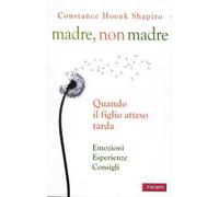 Madre, non madre. Quando il figlio atteso tarda. Emozioni, esperienze, consigli