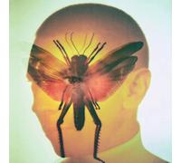 Maelstrom - Rhizome
