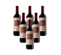 Maestrale : Ciliegiolo Maremma Toscana DOC Fattoria Mantellassi (6 bottiglie 75 cl.) 2023