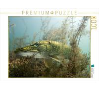 Maestro della mimetizzazione 1000 pezzi puzzle orizzontale
