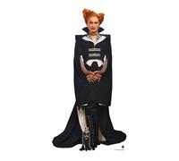 Maestro From Doctor Who Grandezza Naturale Cartone Ritaglio Con Free Mini -