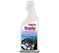 Mafra, Linea Boat, Torphy, Sgrassatore e Pulitore Concentrato per il Lavaggio di Barche e Natanti, nel Formato da 750ml