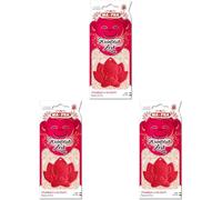 MAFRA, Scimpanzen, Profumatore Auto Tema Scimmia, Fragranza Dolce e Fruttata, Profumazione Strawberry & Red Fruits (Confezione da 3)