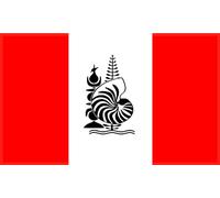 magFlags Bandiera Large Commun NC Variante | Variante du proposition de drapeau commun pour la Nouvelle-Caledonie | bandiera paesaggio | 1.35 m² | 90x150cm