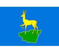 magFlags Bandiera Large Dzerzhinsky District Krasnoyarsk Krai, 2012 | Dzerzhinsky District Krasnoyarsk Krai | Дзержинский р