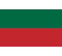 magFlags Bandiera Large Lithuania during the Vilnius Conference | Used