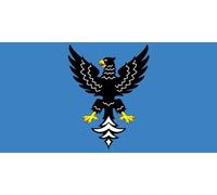 magFlags Bandiera Large Mazyr | Mazyr, Belarus | Сця