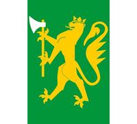 magFlags Bandiera Large Standard of The Agder Home Guard District 07 | Standard of The Agder Home Guard District 07, HV-07 disbanded | 1.35m² | 120x120cm