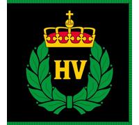 magFlags Bandiera Large Standard of The Norwegian Home Guard | The Ceremonial Standard of The Norwegian Home Guard | 1.35m² | 120x120cm
