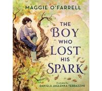 Maggie O'Farrell The Boy Who Lost His Spark (Tascabile)