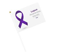 Maggio è il mese della consapevolezza del lupus. Bandiere piccole, bandiere portatili con asta per decorazioni per feste.