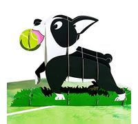 Magic Ants Puppy Pop Up, biglietto di compleanno, boston terrier, biglietti di Natale, regalo per amanti dei cani