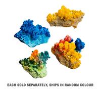 Magic Crystal Garden Fai crescere il tuo abbagliante età dai 5 anni in su. Regal