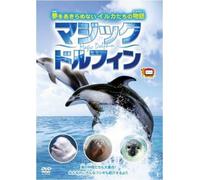 Magic Dolphin (DVD) Various Artists
