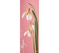 Magic Flowers Vertical Kalender 2027: Langer Wandkalender mit farbenprächtigen Blumen-Fotos. Dekorativer XL Kalender vertikal mit beeindruckenden Blüten.