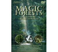 Magic Forests - Die magische Welt der Laub-, Nadel- und Mischwälder