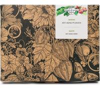 Magic Garden Seeds Erbe Anti-Invecchiamento - Set di Semi - 1 set