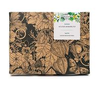 Magic Garden Seeds Set regalo semi Erbe medicinali di montagna, 6 varietà | Primula, piantaggine, alchemilla, malva, menta piperita & timo selvatico • Per giardino aromatico e tisane • Con guida