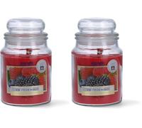 Magic Lights Candela Profumata Grande 510g - Frutti di Bosco Rossi Dolci e Freschi - Profumo Intenso per Casa - Stoppino in Legno - 90 Ore - Made in Italy (Confezione da 2)