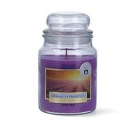Magic Lights Candela Profumata Lavanda Provenzale 510g in Giara Grande - Candela Relax SPA con Stoppino in Legno Scoppiettante - Fino a 90 Ore - Cera Vegetale - Made in Italy
