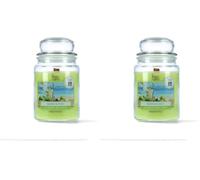 Magic Lights Candela Profumata Mojito 510g - Lime e Menta Fresca - 90/100 Ore - Stoppino in Legno Scoppiettante - Cera Vegetale 75% - Giara Grande Made in Italy (Confezione da 2)