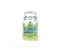 Magic Lights Candela Profumata Mojito 510g - Lime e Menta Fresca - 90/100 Ore - Stoppino in Legno Scoppiettante - Cera Vegetale 75% - Giara Grande Made in Italy