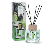 Magic Ligths Aromaterapia | Diffusore a Bastoncini 250 ml | Profumazione Menta e Lime - Concentrazione ed Energia - Made in Italy | Diffusore in Vetro con Tappo in Legno
