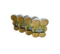 Magic Ligths Candele Tealight alla Citronella, Set di 24 Maxi Tealight