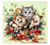 Magic Needle 58-12 - Schema punto croce contato, cotone, multicolore, 35 x 31 cm