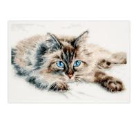 Magic Needle Kit per ricamo a punto croce, motivo: felicità, multicolore