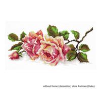 Magic Needle Zweigart Set punto croce edizione "Il profumo delle rose", schema d