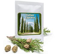 Magic of Nature: 100 Semi di Cipresso Comune - Cipresso d'Italia