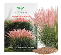 Magic of Nature: ca. 150 pz Semi di Erba della Pampa Rosa (Cortaderia)