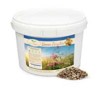 Magic of Nature: Miscela di Semi di fiori - Paradiso delle Api (5 kg) | Facile da usare - Pascolo per api in fiore - Consigli per la semina - Per 1.500-2.500 m²