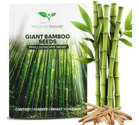 Magic of Nature: Semi di Bambù Gigante (100 pz.) | Ideale come Frangivento e Protezione Visiva per il Giardino